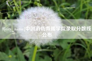 安达中国消防救援学院录取分数线公布