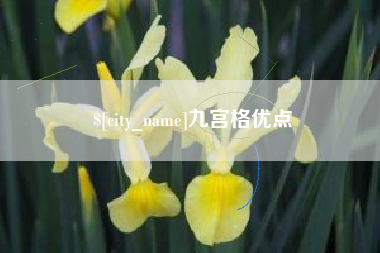 安达九宫格优点