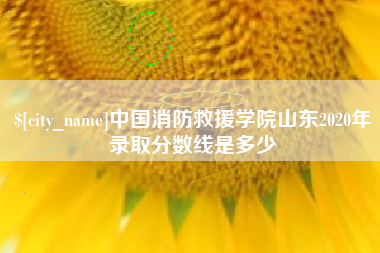 安达中国消防救援学院山东2020年录取分数线是多少