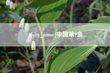 安达中国第9金