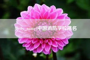 安达中国消防学校排名