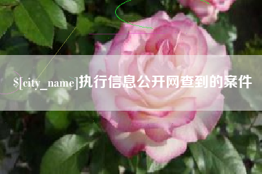 安达执行信息公开网查到的案件