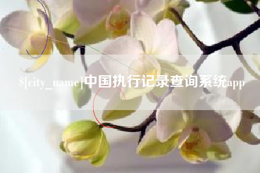 安达中国执行记录查询系统app