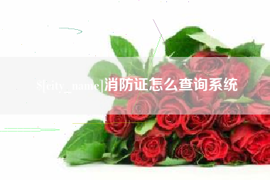 安达消防证怎么查询系统