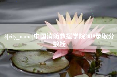安达中国消防救援学院2019录取分数线