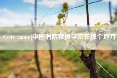 安达中国消防救援学院在那个地方
