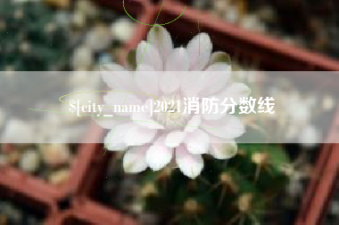 安达2021消防分数线
