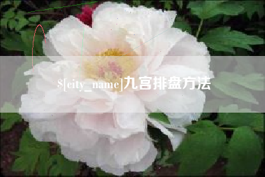 安达九宫排盘方法