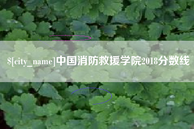 安达中国消防救援学院2018分数线