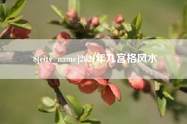 安达2021年九宫格风水