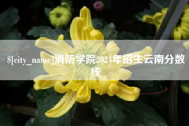 安达消防学院2024年招生云南分数线