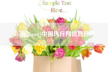 安达中国执行网信息官网