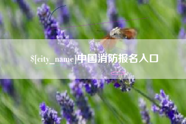 安达中国消防报名入口
