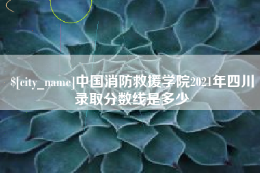 安达中国消防救援学院2021年四川录取分数线是多少