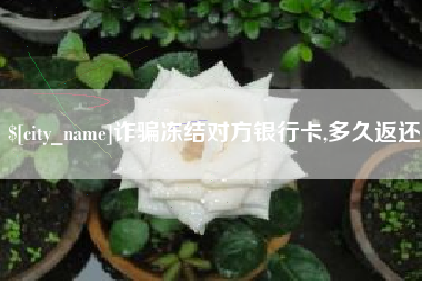 安达诈骗冻结对方银行卡,多久返还