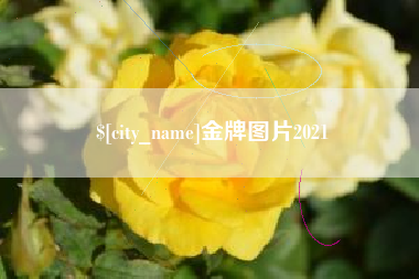 安达金牌图片2021