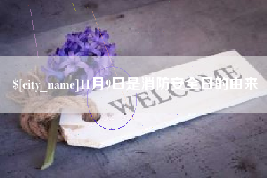 安达11月9日是消防安全日的由来