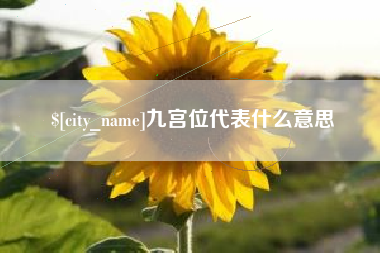 安达九宫位代表什么意思