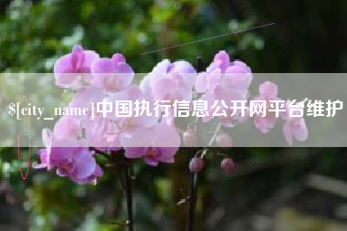 安达中国执行信息公开网平台维护