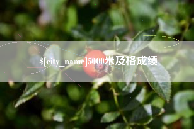 安达5000米及格成绩