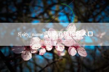 安达国家消防报名入口