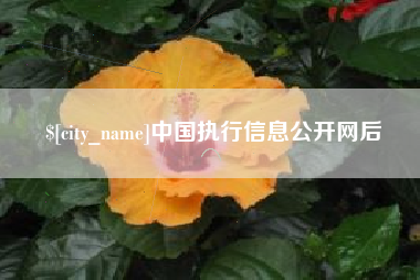 安达中国执行信息公开网后