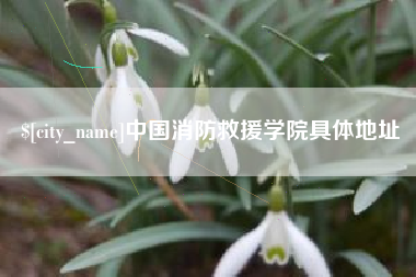 安达中国消防救援学院具体地址
