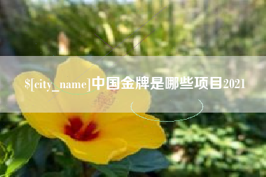 安达中国金牌是哪些项目2021