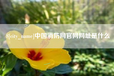 安达中国消防网官网网址是什么