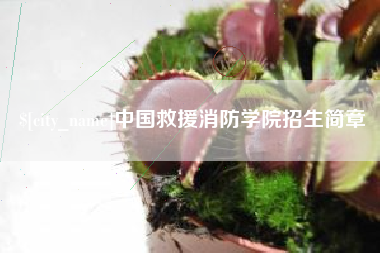 安达中国救援消防学院招生简章