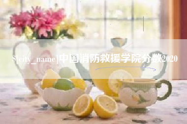 安达中国消防救援学院分数2020