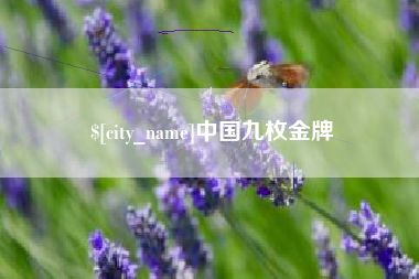 安达中国九枚金牌