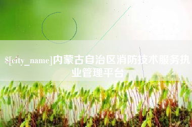 安达内蒙古自治区消防技术服务执业管理平台