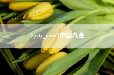 安达中国九金