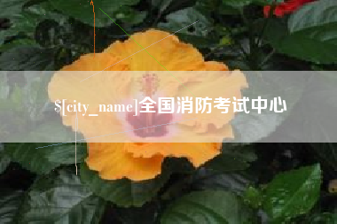 安达全国消防考试中心