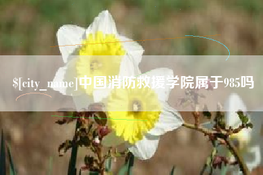 安达中国消防救援学院属于985吗
