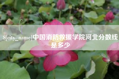 安达中国消防救援学院河北分数线是多少