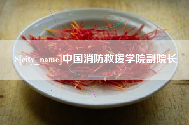 安达中国消防救援学院副院长
