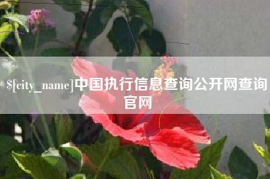 安达中国执行信息查询公开网查询官网