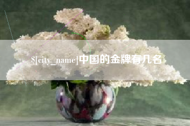 安达中国的金牌有几名