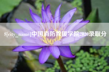 安达中国消防救援学院2020录取分