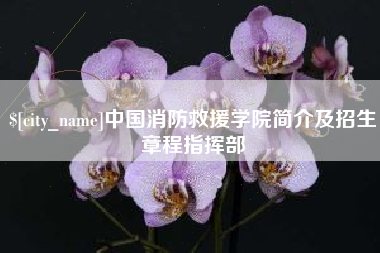 安达中国消防救援学院简介及招生章程指挥部