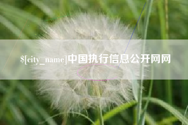 安达中国执行信息公开网网