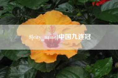 安达中国九连冠