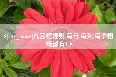 安达九宫格规则,每行,每列,每个粗线都有1-9