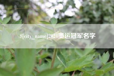 安达2024奥运冠军名字