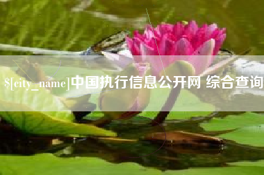 安达中国执行信息公开网 综合查询