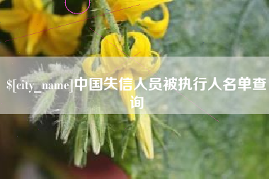 安达中国失信人员被执行人名单查询