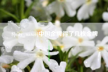 安达中国金牌得了几枚金牌