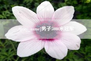 安达男子5000米冠军